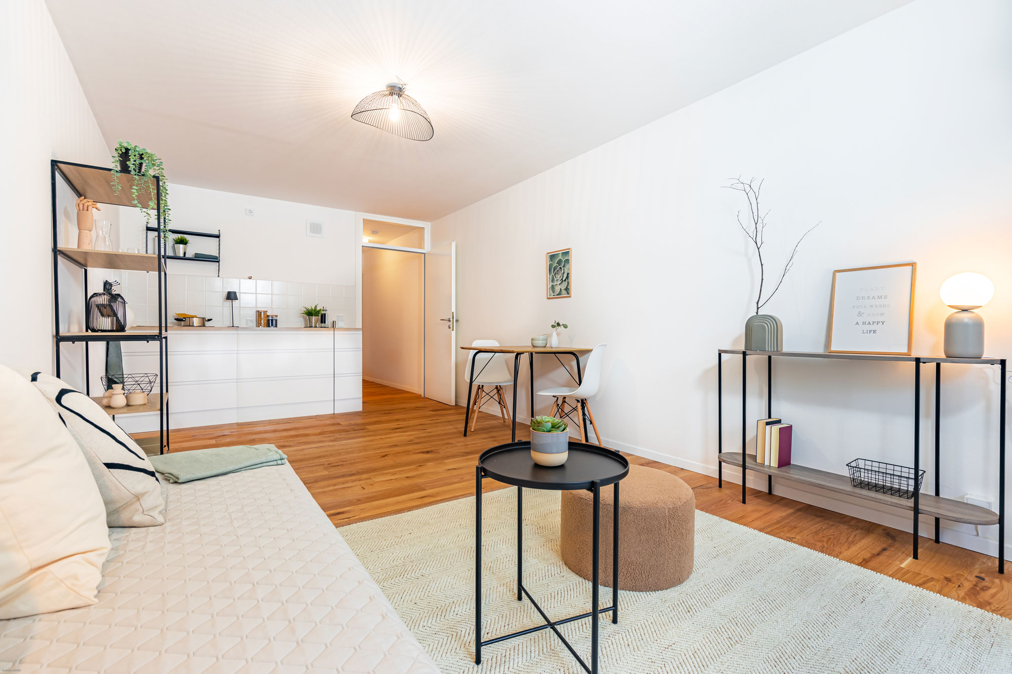 Der Wohnraum eines von elements home staging modern eingerichteten Studentenapartments
